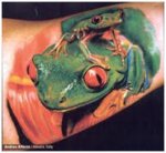 Life like Frog Tattoo