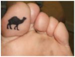 Camel Tattoo