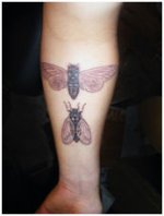 Housefly Tattoo