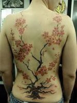 A back tattoo of the cherry blossom tree, iconic Japanese culture