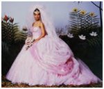 Fairytale Style Wedding Dress.