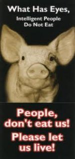 This is an image of a pig telling people not to eat meat