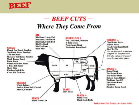 This is an image of different cuts of beef and where they come form