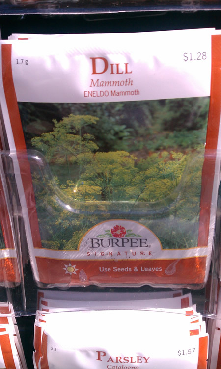 Inexpensive Package of Dill Seeds by Mammoth