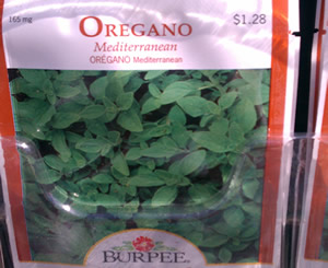 Packet of Oregano Seeds