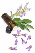 This is an image of herbal oils used as a natural herbal sleep aid