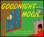 This is an image of the book good night moon
