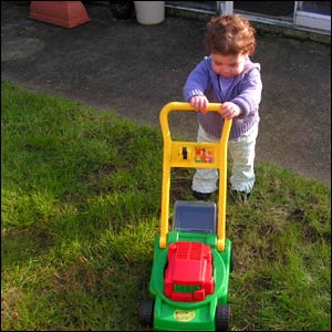 lawn mower toy