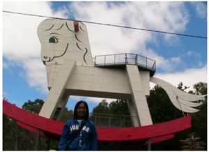 The Biggest Rocking Horse in the World